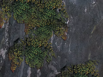 mountain rock wall texture (ID:ffabg09025)