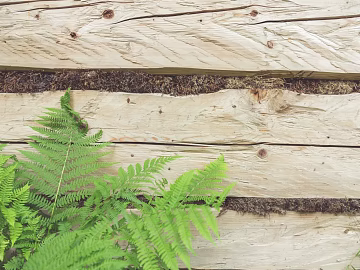 Wooden panel texture (ID:ffabg78040)