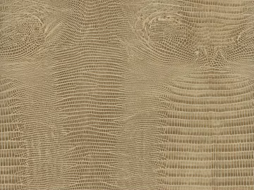 Coarse-grain leather texture (ID:ffaag12082)