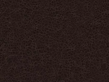 Coarse-grain leather texture (ID:ffagg44797)