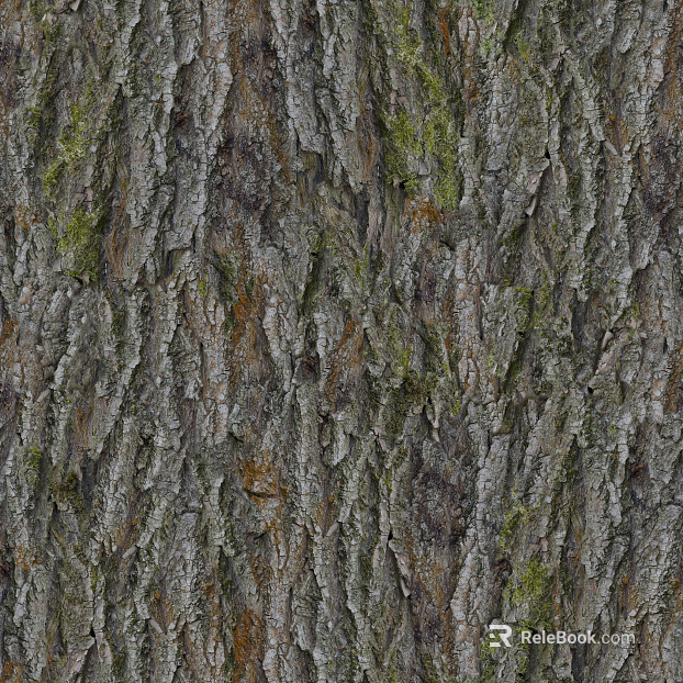Gray brown with moss bark natural texture texture