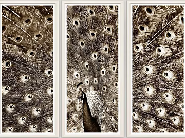 Animal painting texture (ID:ffagg42369)