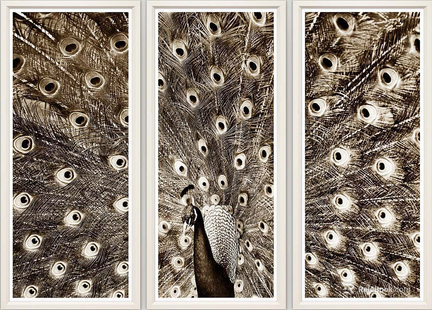 Animal painting texture
