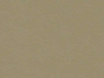 fine grain leather texture (ID:ffaag60154)