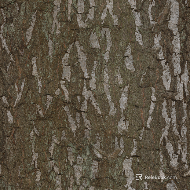 bark texture