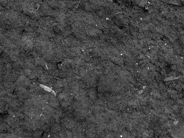 Mud texture (ID:ffaeg52651)