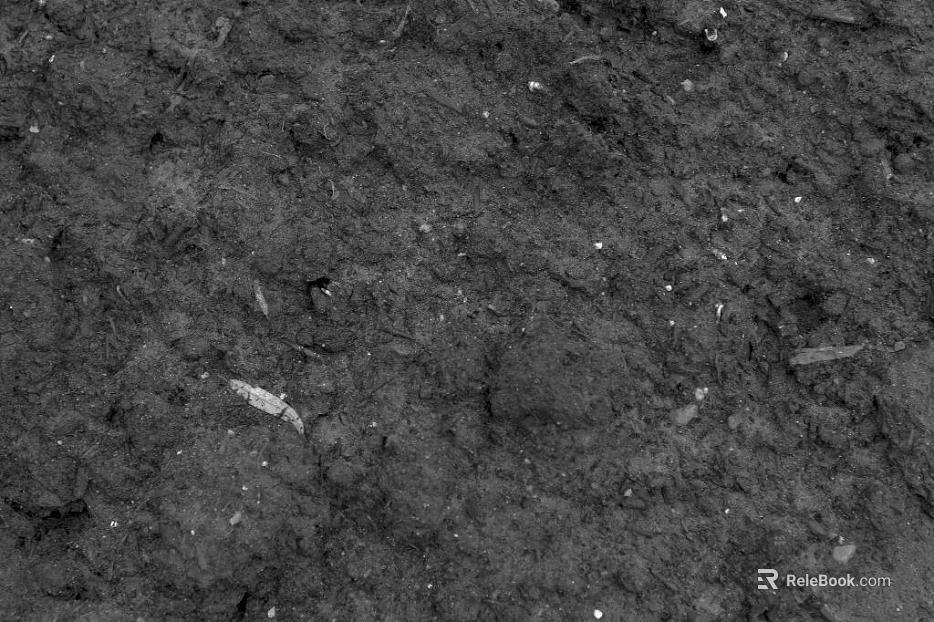 Mud texture
