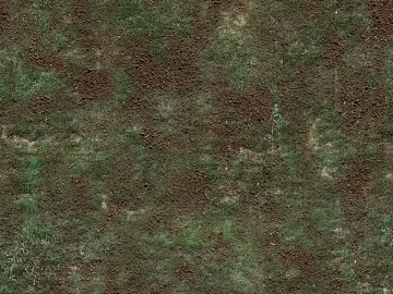 Mud texture (ID:ffaif8198)