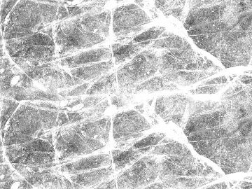 Highlight Mask texture (ID:ffacg23667)