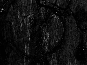 Black and White Bump texture (ID:ffajg11971)