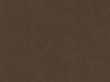 fine grain leather texture (ID:ffagg83505)