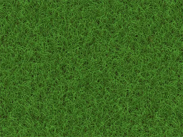 Plants texture (ID:ffaag54077)