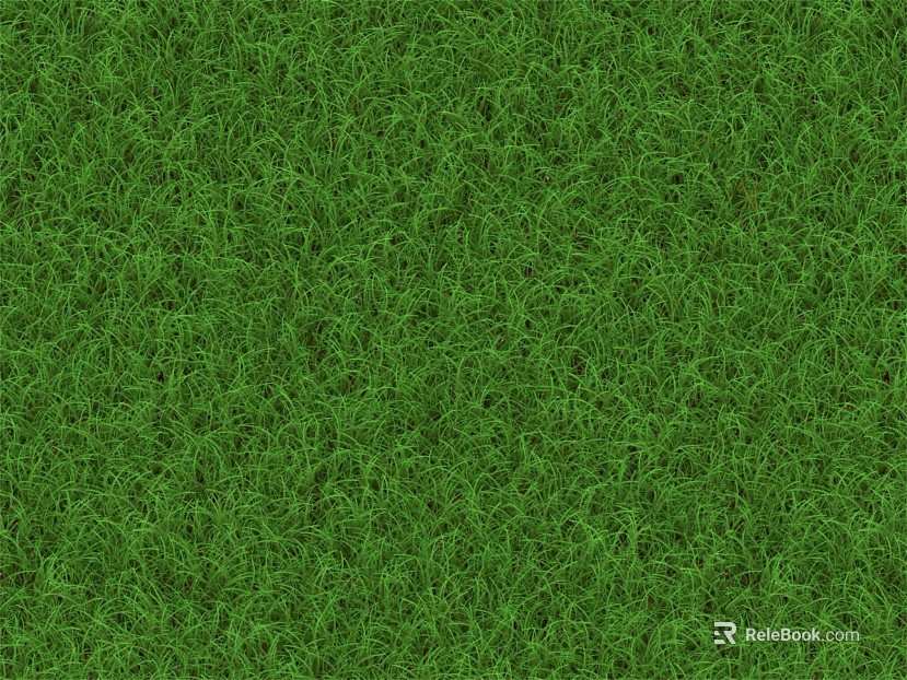 Plants texture
