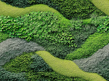 Modern Green Plant Wall Ecological Plant Wall Moss Wall texture (ID:ffach685528)