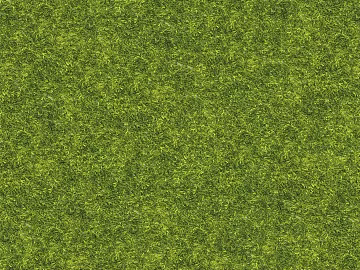 Grass Grass Slope Green Space Texture texture (ID:ffaeh508782)