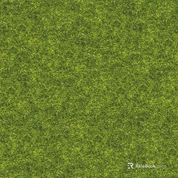 Grass Grass Slope Green Space Texture texture