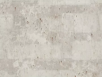 Light gray cement industrial wind wall surface texture (ID:ffaeh664594)