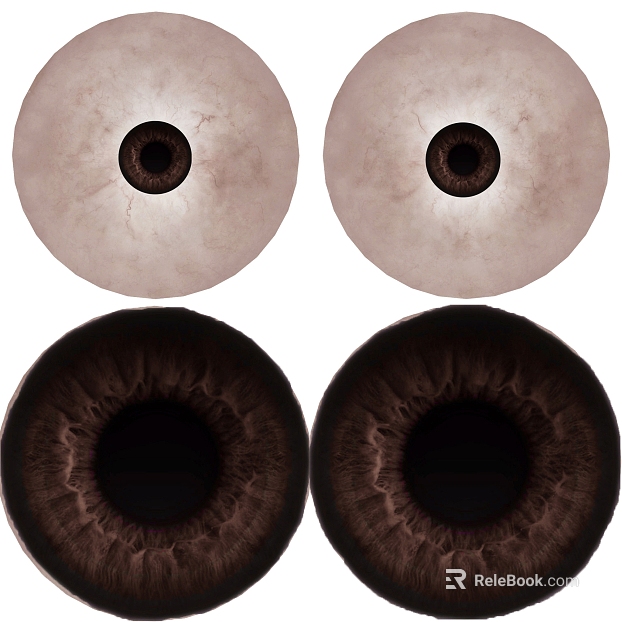 Dark Brown Eye Organ Map texture