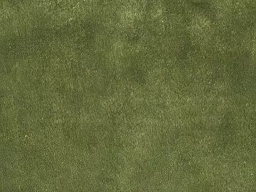 Turf texture (ID:ffach152534)