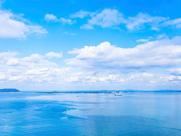 Wild Scenery texture (ID:ffagg48787)