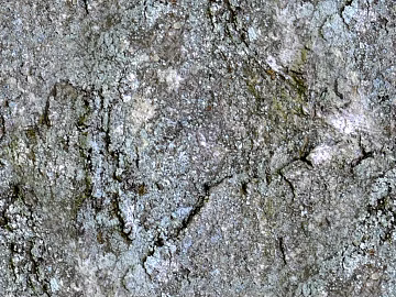 Rock texture (ID:ffaeg59179)