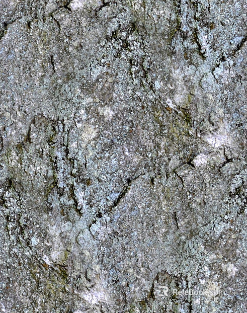 Rock texture