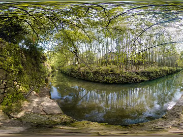 HDR green path forest leisure riverside texture (ID:ffach817746)