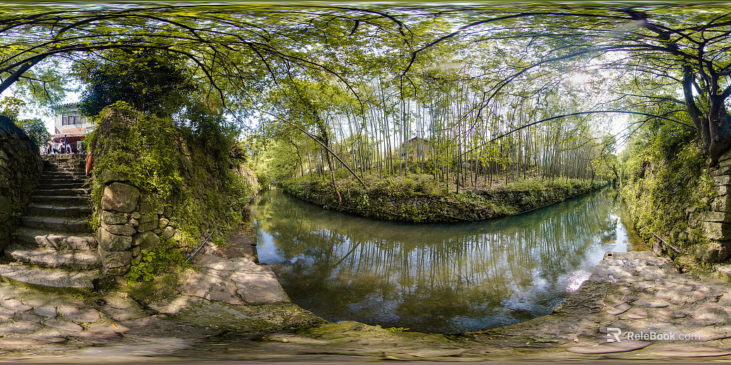 HDR green path forest leisure riverside texture