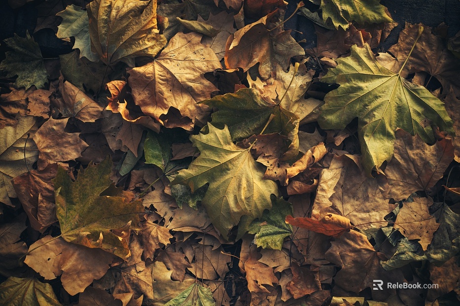 leaves texture