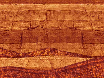 Wood grain texture (ID:ffagf9104)