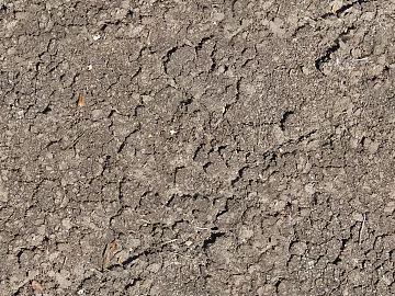 sand sand 3d model