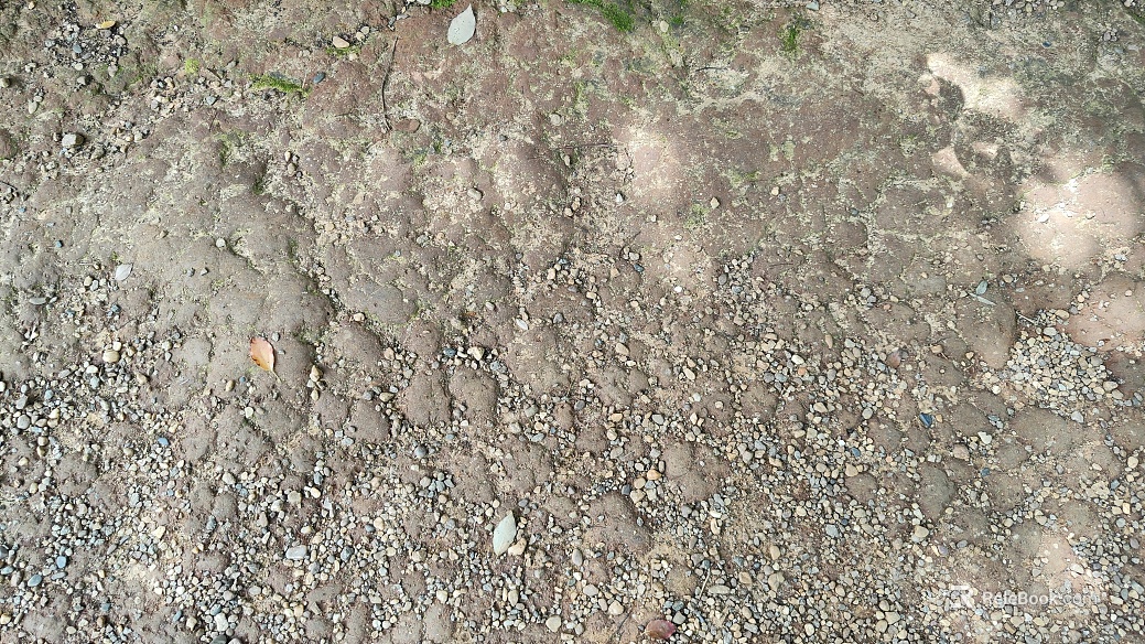 Gravel path dirt path sand gravel road mud road country road texture