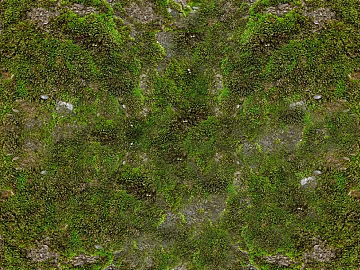 moss texture (ID:ffacg08987)
