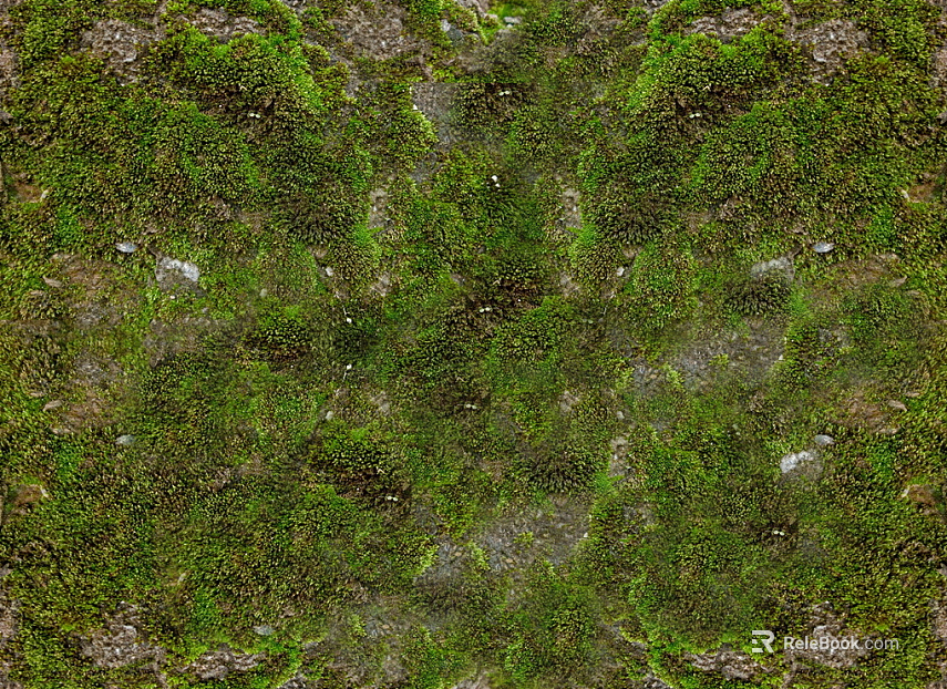 moss texture