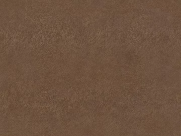 Fine-grain leather texture (ID:ffaeh989116)