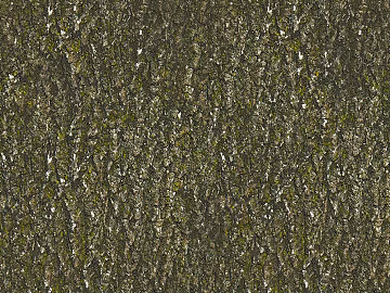 bark texture (ID:ffacg02129)