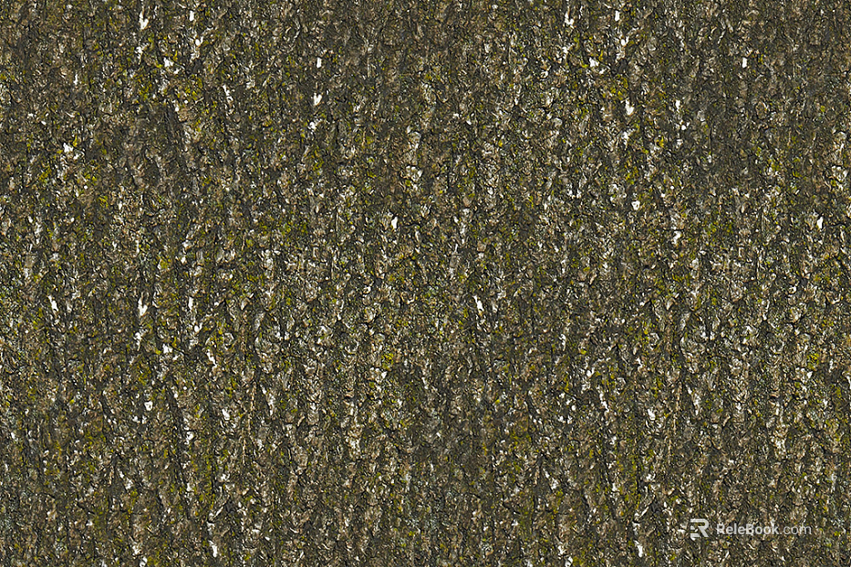 bark texture