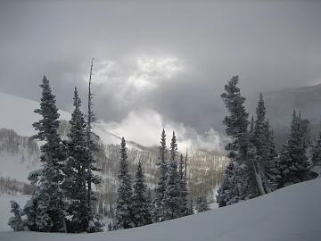 Snow 3d model
