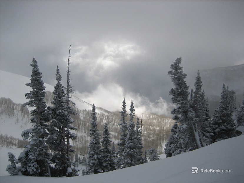 Snow texture