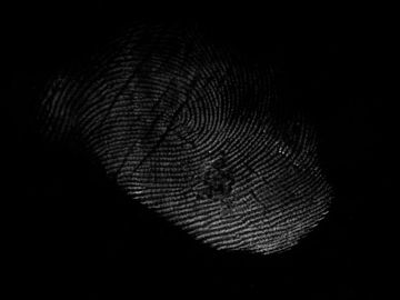 Fingerprint texture (ID:ffagg11374)