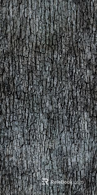 bark texture