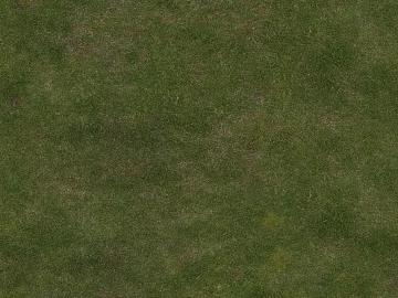 Turf texture (ID:ffajg68999)