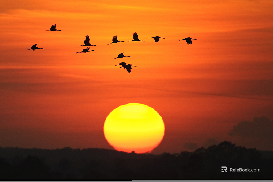 Modern Screen Wallpaper Outdoor Nature Scenery texture