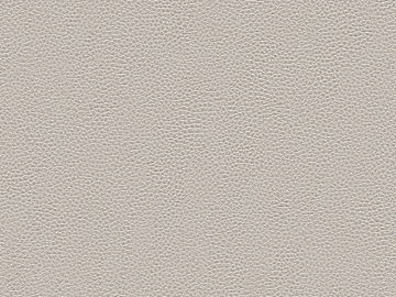 fine grain leather texture (ID:ffabg54425)