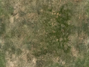 moss texture (ID:ffaeg47084)