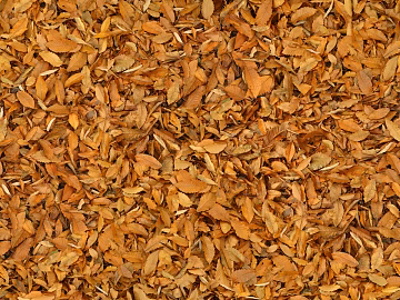 Turf ground texture (ID:ffabf6141)