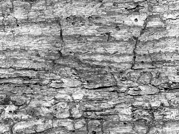 Black and White Bump texture (ID:ffajg34666)