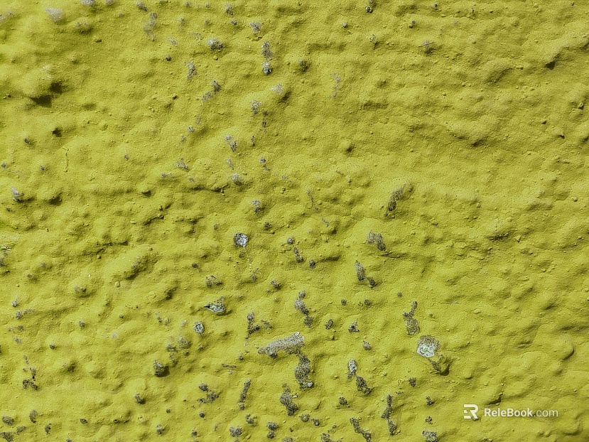 Paint texture