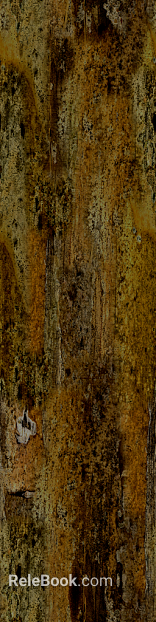 Tawny old wood wall decoration texture