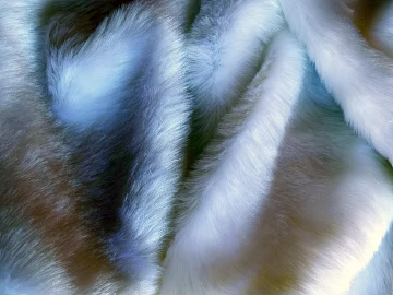 Animal Blanket texture (ID:ffabg31500)
